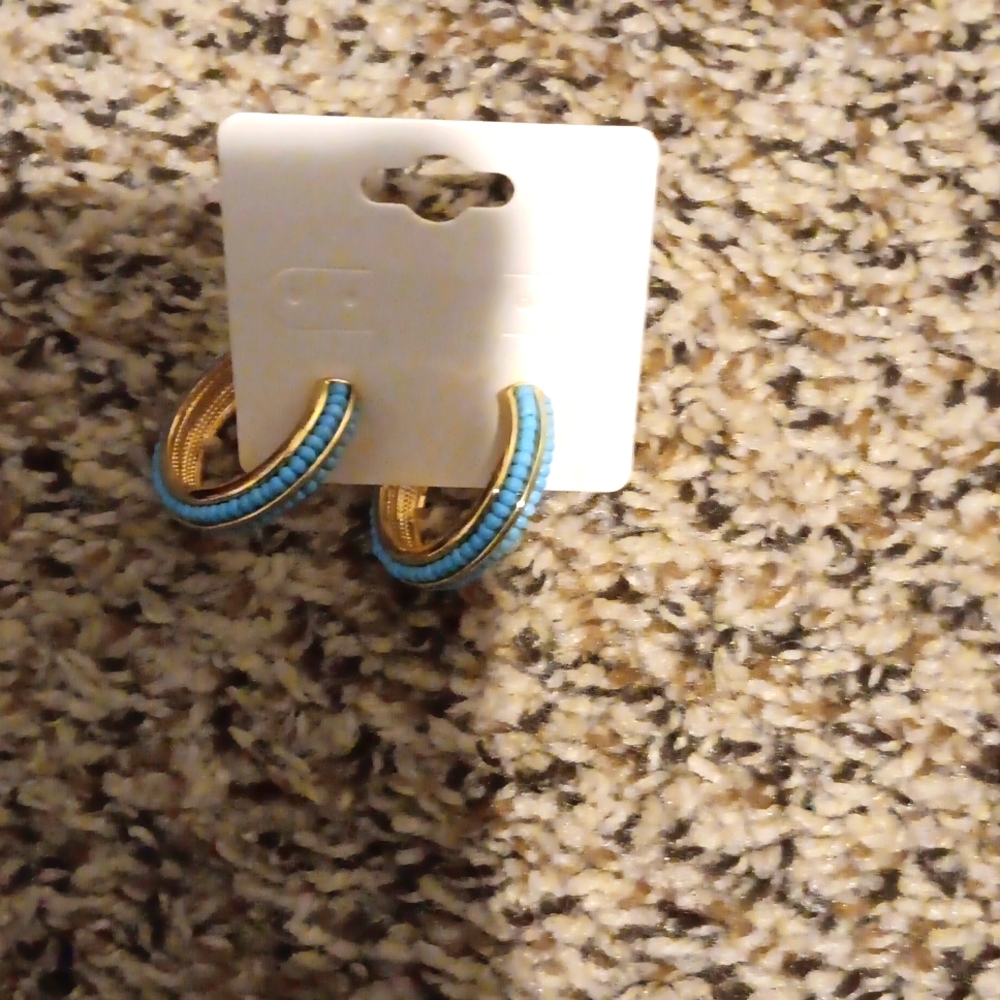 Medium Hoop Earring